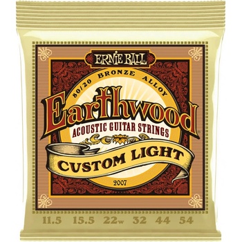 Ernie Ball 2007