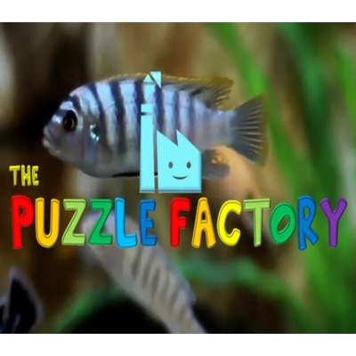 The Puzzle Factory