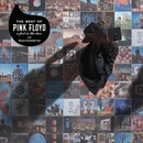 Hudba PINK FLOYD: A FOOT IN THE DOOR - 180 GR 12 LP