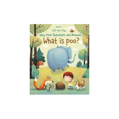 What is poo?