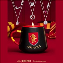 Charmed Aroma Harry Potter Gryffindor - Chrabromil 326 g