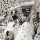 Vespertine - Bjork CD