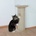 TRIXIE Котешки драскалец Lorca, ъглови с играчка - 75 см