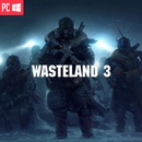 Wasteland 3