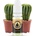 Inawera Концентрат за база Inawera с аромaт Cactus 10ml