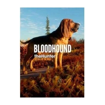 Expansive Worlds theHunter Call of the Wild Bloodhound DLC (PC)