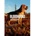 Expansive Worlds theHunter Call of the Wild Bloodhound DLC (PC)