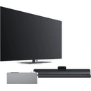 Loewe bild i.65 DR+