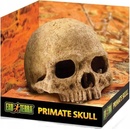 Hagen Exo Terra Lidská lebka 15x11,5x10,5 cm