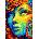 Enjoy - Puzzle Painted Lady - 1 000 piese