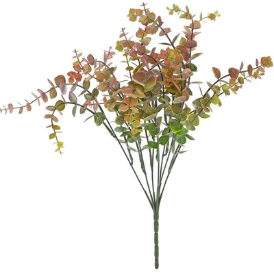 ZÁPICH EUCALYPTUS ZEL-BORDOVÝ 40CM