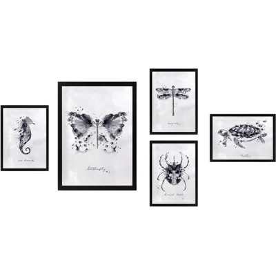 Obrazy v súprave 5 ks Butterfly – Wallity