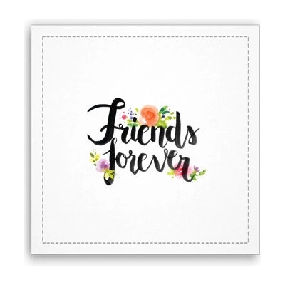 Fotoobraz 40x40 cm Friends forever