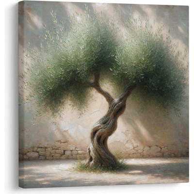 Obraz starý olivovník ve středomoří - 50x50