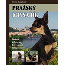 Pražský krysařík