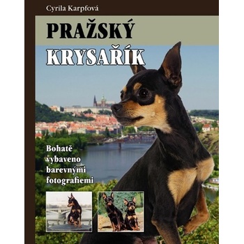 Pražský krysařík