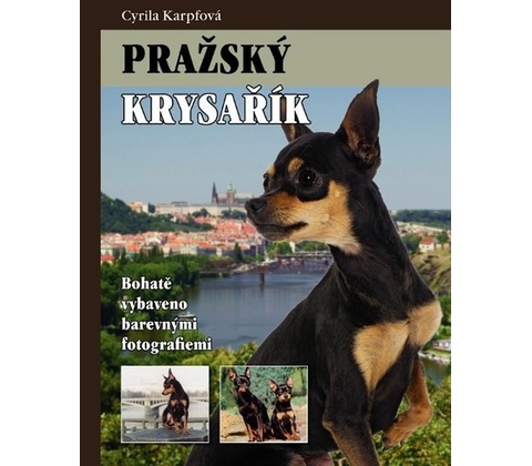 Pražský krysařík
