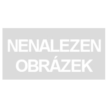 Collecta Mini plazy a obojživelníky
