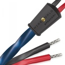 Wireworld Oasis 10