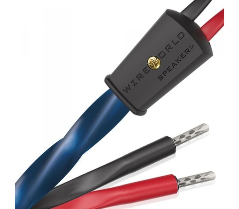 Wireworld Oasis 10