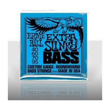 Ernie Ball P02835