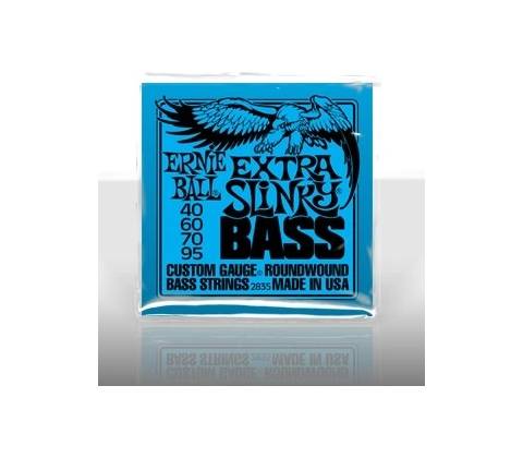 Ernie Ball P02835