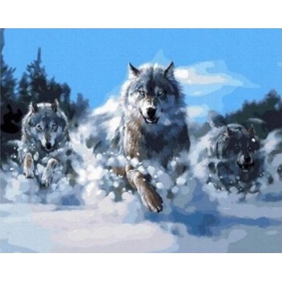 Norimpex diamantové maľovanie Svorka vlkov v snehu 30 x 40 cm