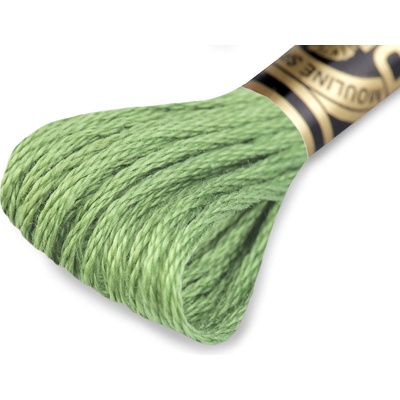 Vyšívací příze DMC Mouliné Spécial Cotton Varianta: 989 Herbal Garden, Balení: 1 ks