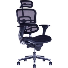 Office Pro Sirius Mesh