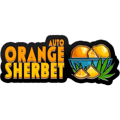 Fast Buds Orange Sherbet AUTO semienka neobsahujú THC 10 ks