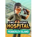 Two Point Hospital: Pebberley Island
