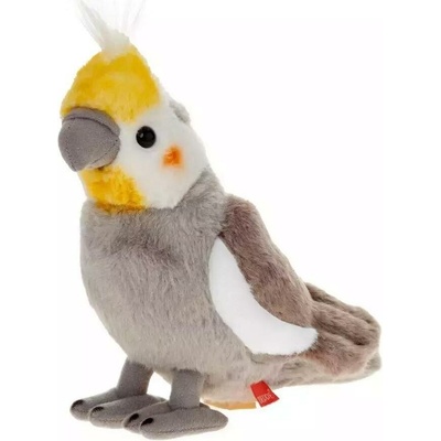 PAPUGA SIVÁ NIMFA BEPPE + 20 cm
