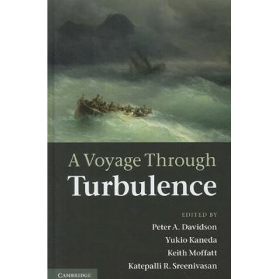 A Voyage Throught Turbulence - Peter A. Davidson