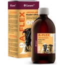 CANAMI A Flex + CBD 500 ml