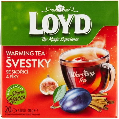 Loyd pyramids Hot Tea švestka skořice fíky 20 x 2 g