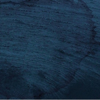 Aquatic System - Multicast Dynamics LP