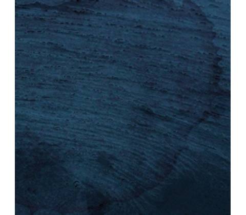 Aquatic System - Multicast Dynamics LP