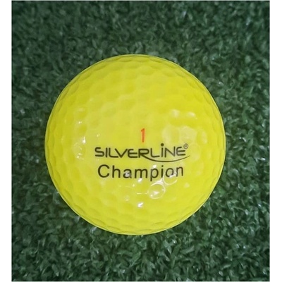 Silverline ball Champion míč 1 ks – Zboží Dáma