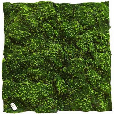 Umelý mach Sphagnum 2, 100 x 100cm