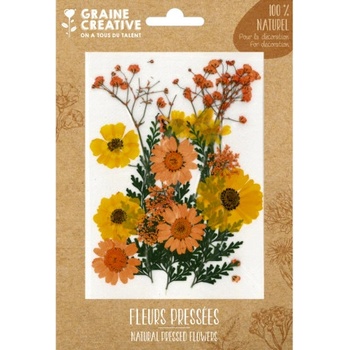 Sušené lisované květiny a listy - žlutá letní louka