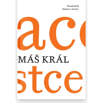 Situace v kostce - Tomáš Král