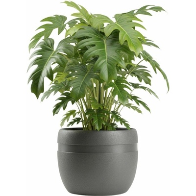 HowHomely Květináč LUNA Classic 40 cm antracitový