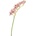 Bizzotto ИЗКУСТВЕНА КЛОНКА cymbidium dyan 82cm ОР (0170686)