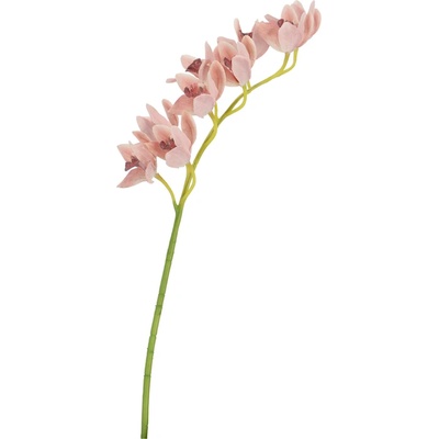 Bizzotto ИЗКУСТВЕНА КЛОНКА cymbidium dyan 82cm ОР (0170686)