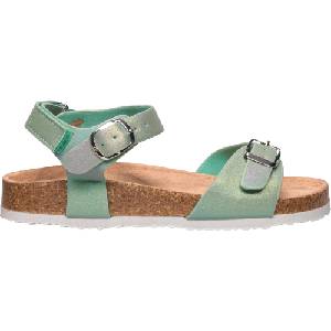 LOAP TARU K 31