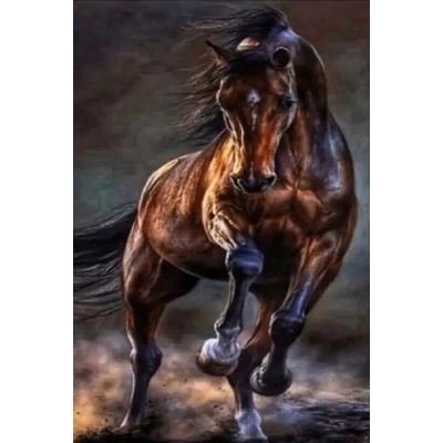 Norimpex diamantové maľovanie divoký kôň 30 × 40 cm