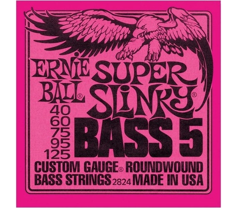 Ernie Ball 2824