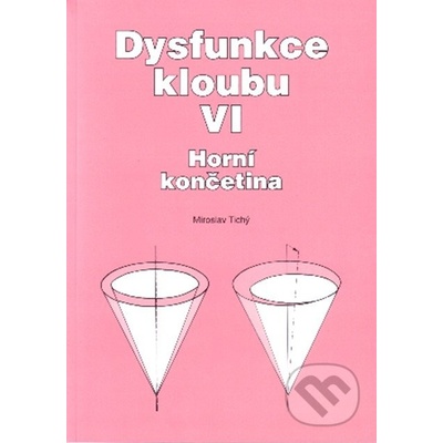 Dysfunkce kloubu VI. - Miroslav Tichý