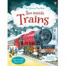 See Inside Trains - Bone Emily