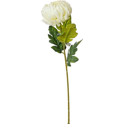 KS CHRYZANTÉMA 75CM BIE